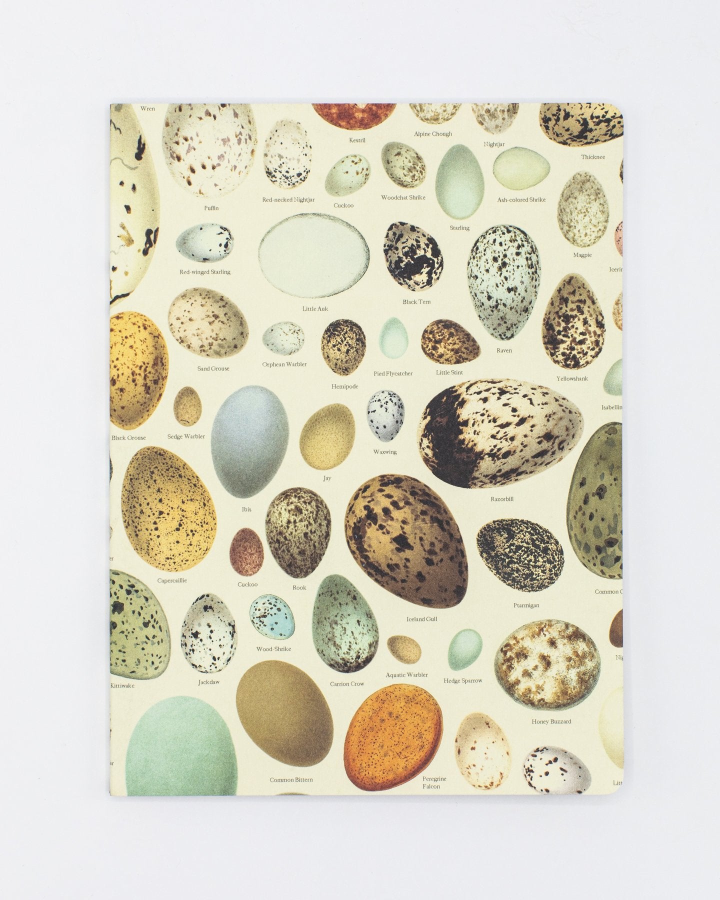 Eggs Softcover - Lined