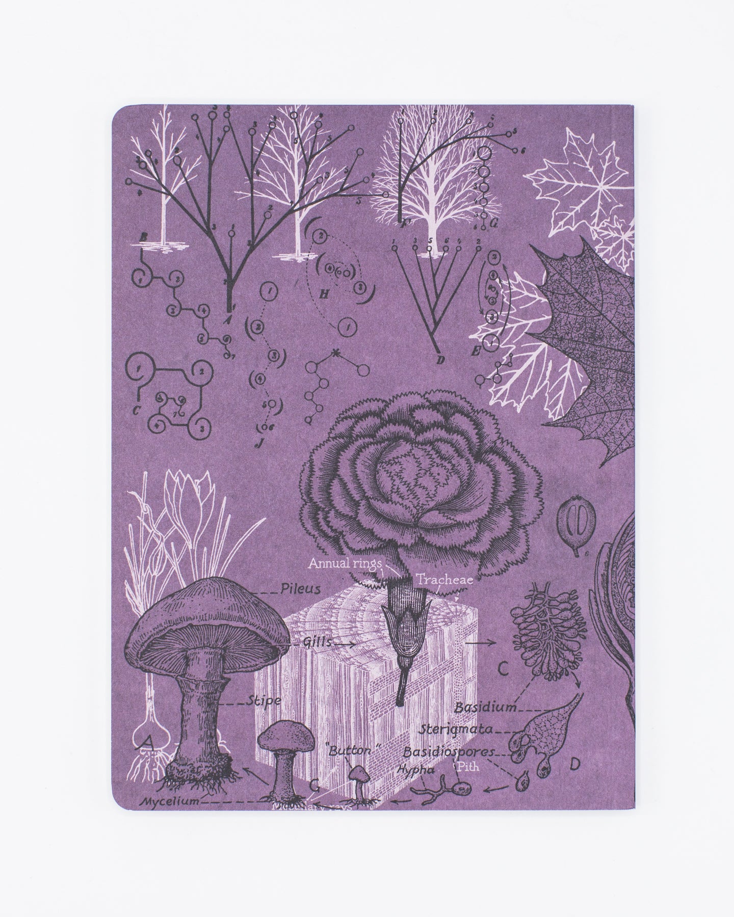 Forest at Dusk Softcover Notebook - Lined