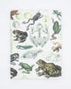 Frogs & Toads Softcover - Lined