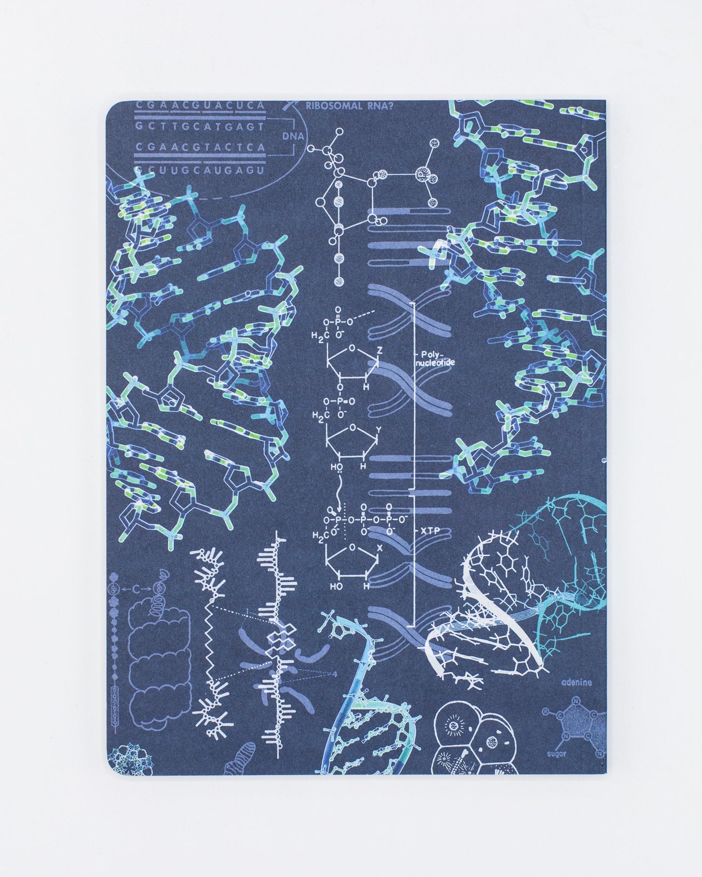 Genetics Plate 2 Softcover - Dot Grid