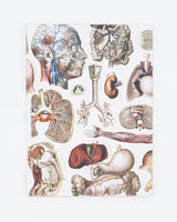 Internal Medicine Softcover Notebook - Lined
