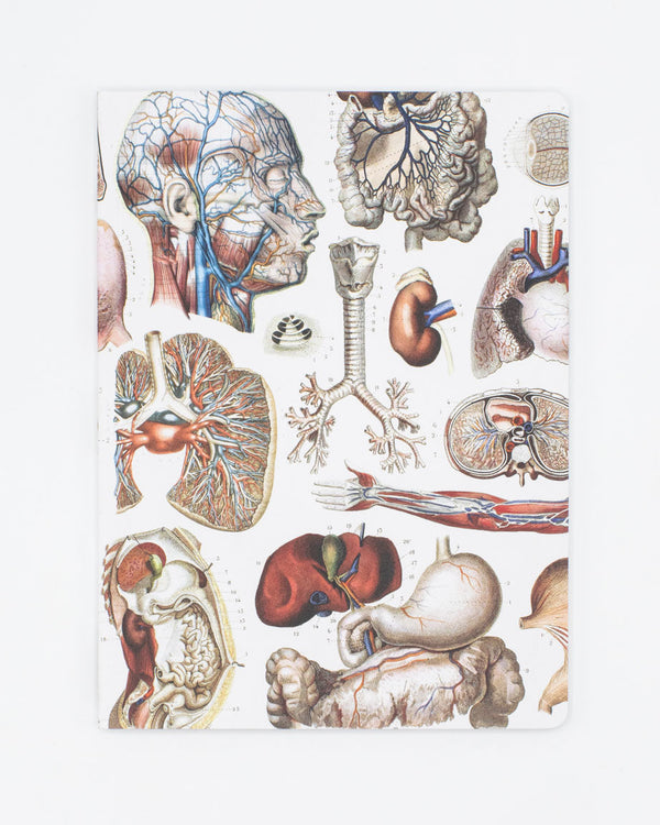 Internal Medicine Softcover Notebook - Lined
