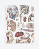 Internal Medicine Softcover Notebook - Lined