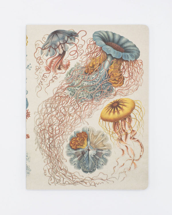 Haeckel Jellyfish Softcover - Dot Grid