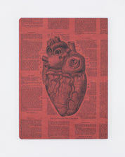 Anatomical Heart Softcover Notebook - Lined