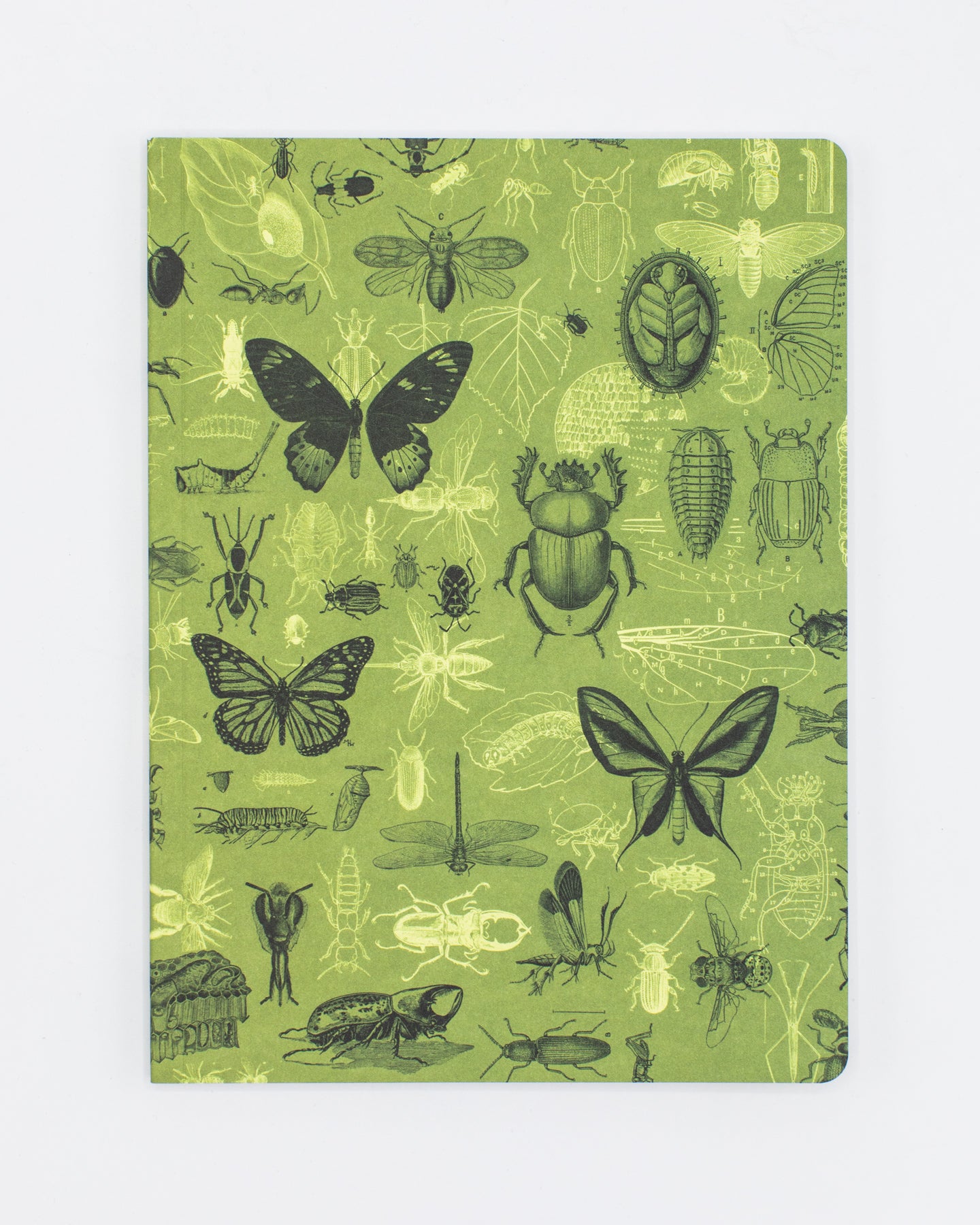 Insects Softcover Notebook - Dot Grid