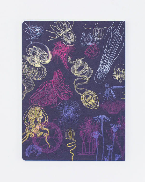 Jellyfish Softcover Notebook - Lined