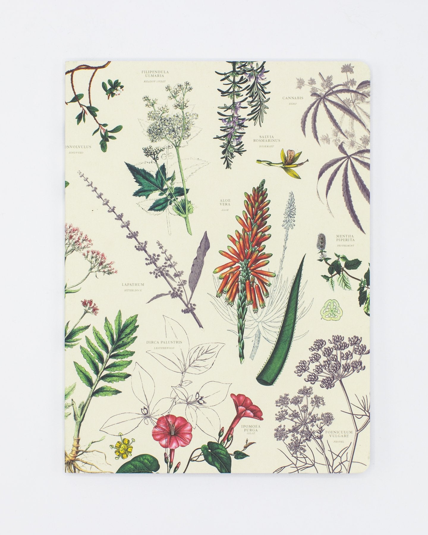 Medicinal Botany Softcover - Dot Grid