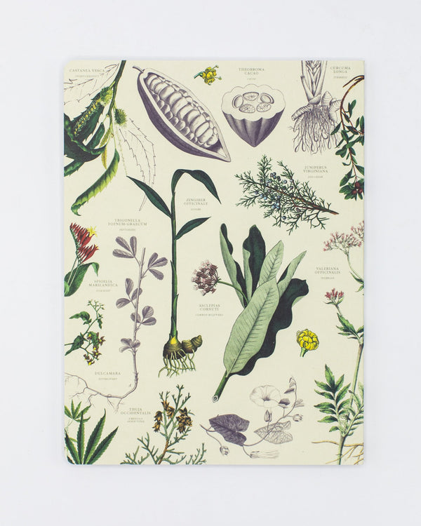 Medicinal Botany Softcover - Dot Grid