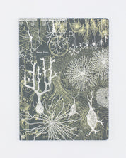 Neurons Softcover Notebook - Lined