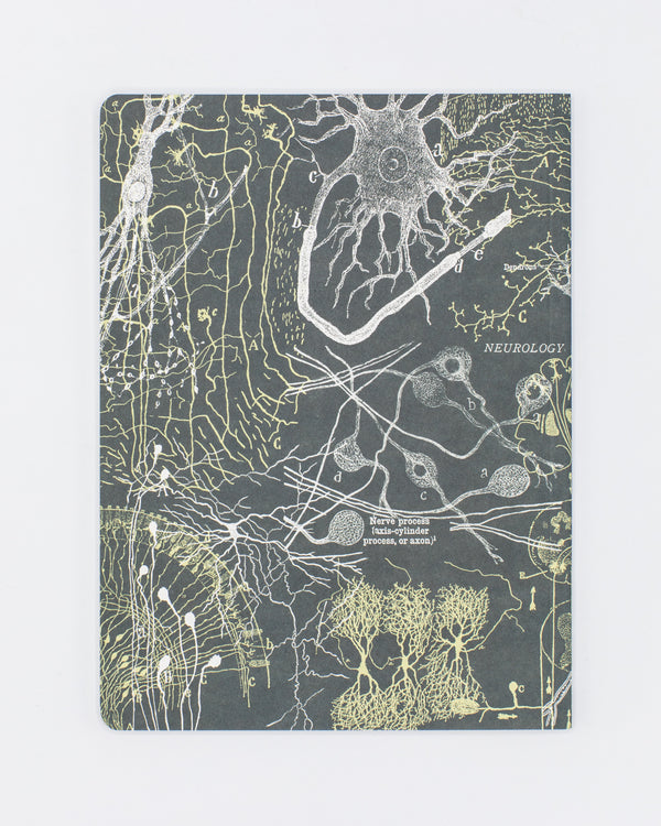 Neurons Softcover Notebook - Lined