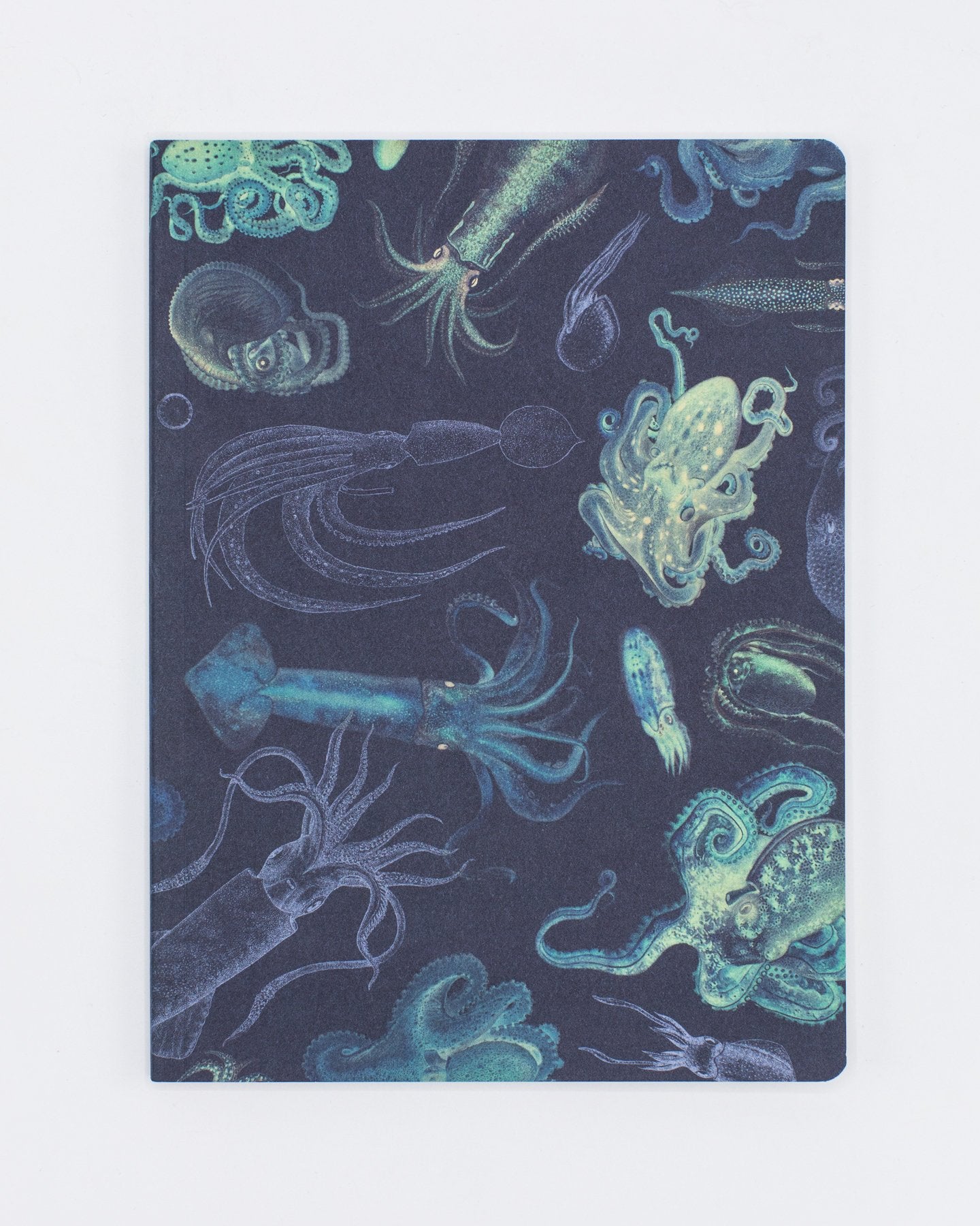 Cephalopods: Octopus & Squid Softcover - Lined