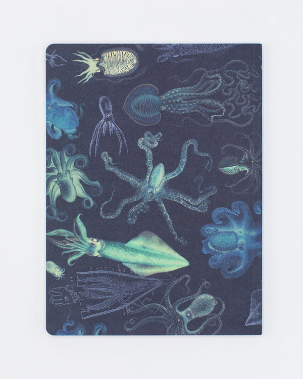 Cephalopods: Octopus & Squid Softcover - Lined