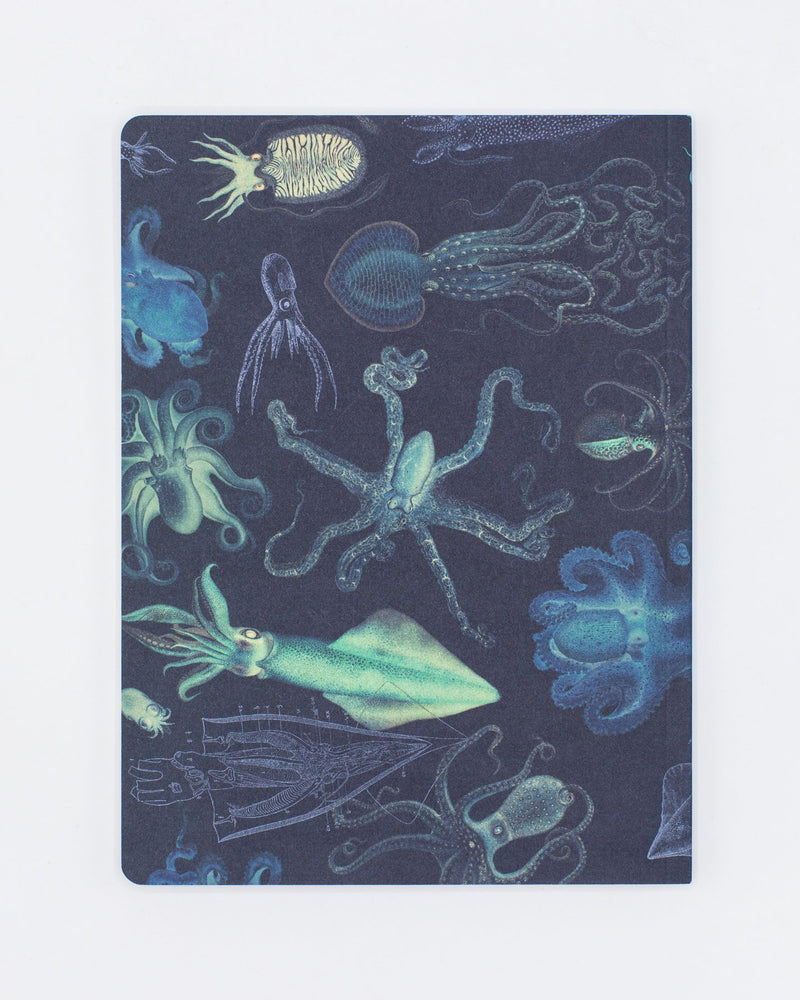 Cephalopods: Octopus & Squid Softcover - Lined