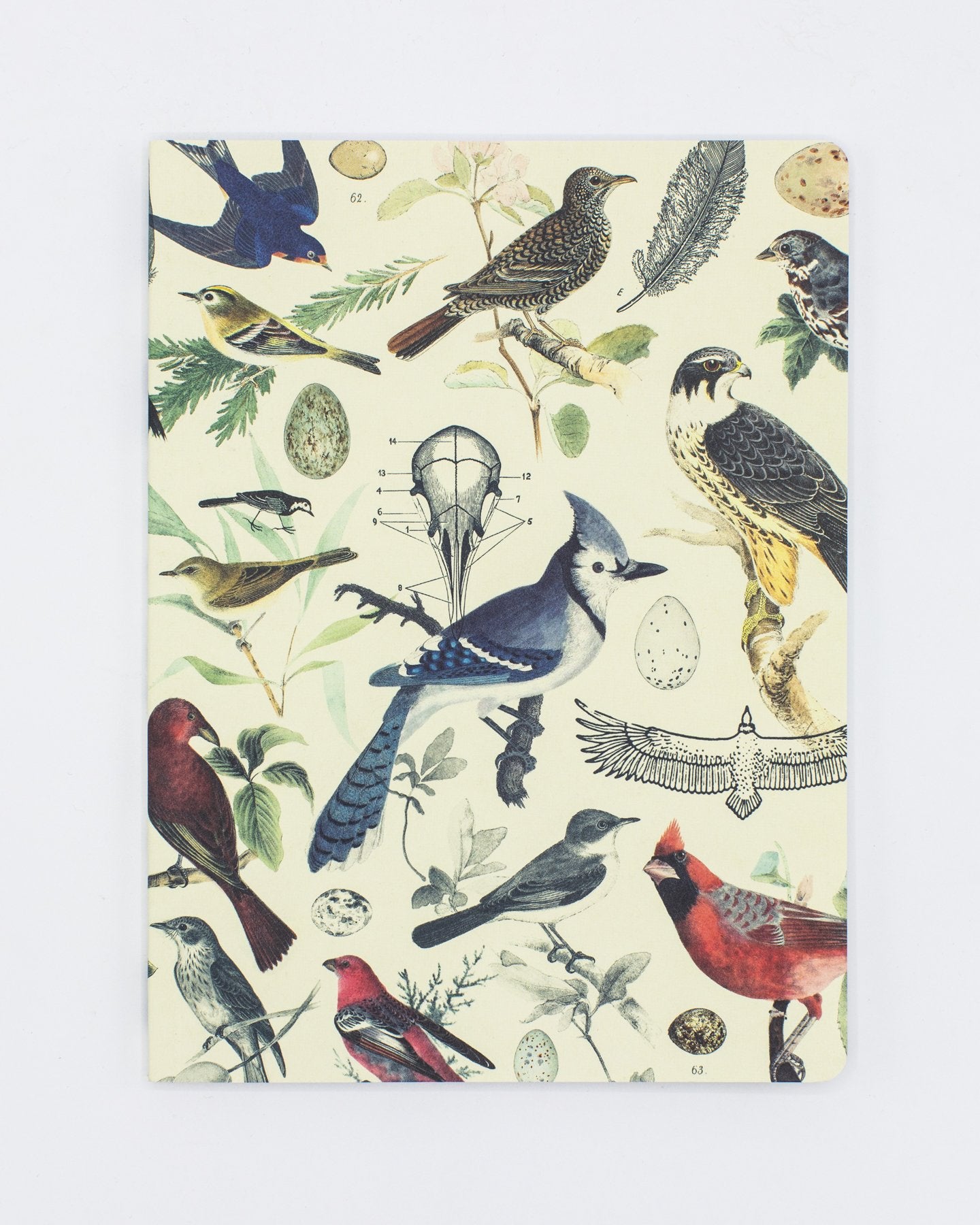 Ornithology: Birds Softcover - Dot Grid