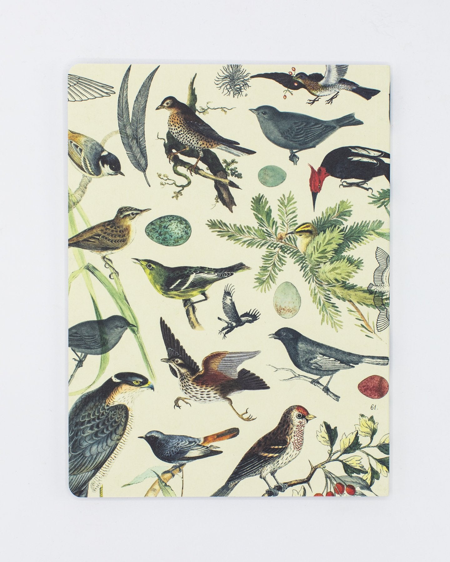 Ornithology: Birds Softcover - Dot Grid