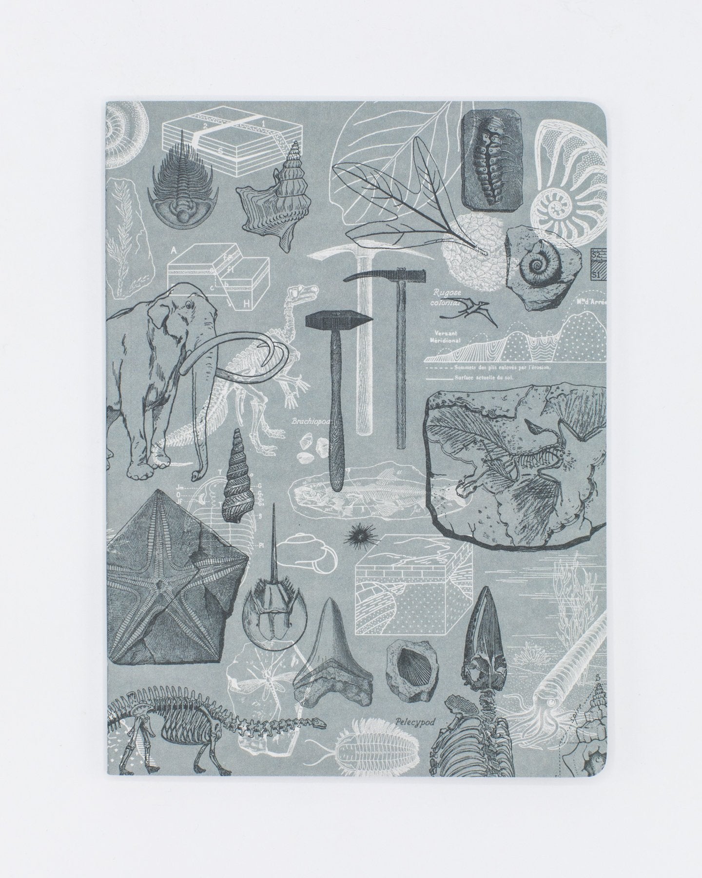 Paleontology Softcover - Dot Grid