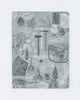 Paleontology Softcover - Dot Grid