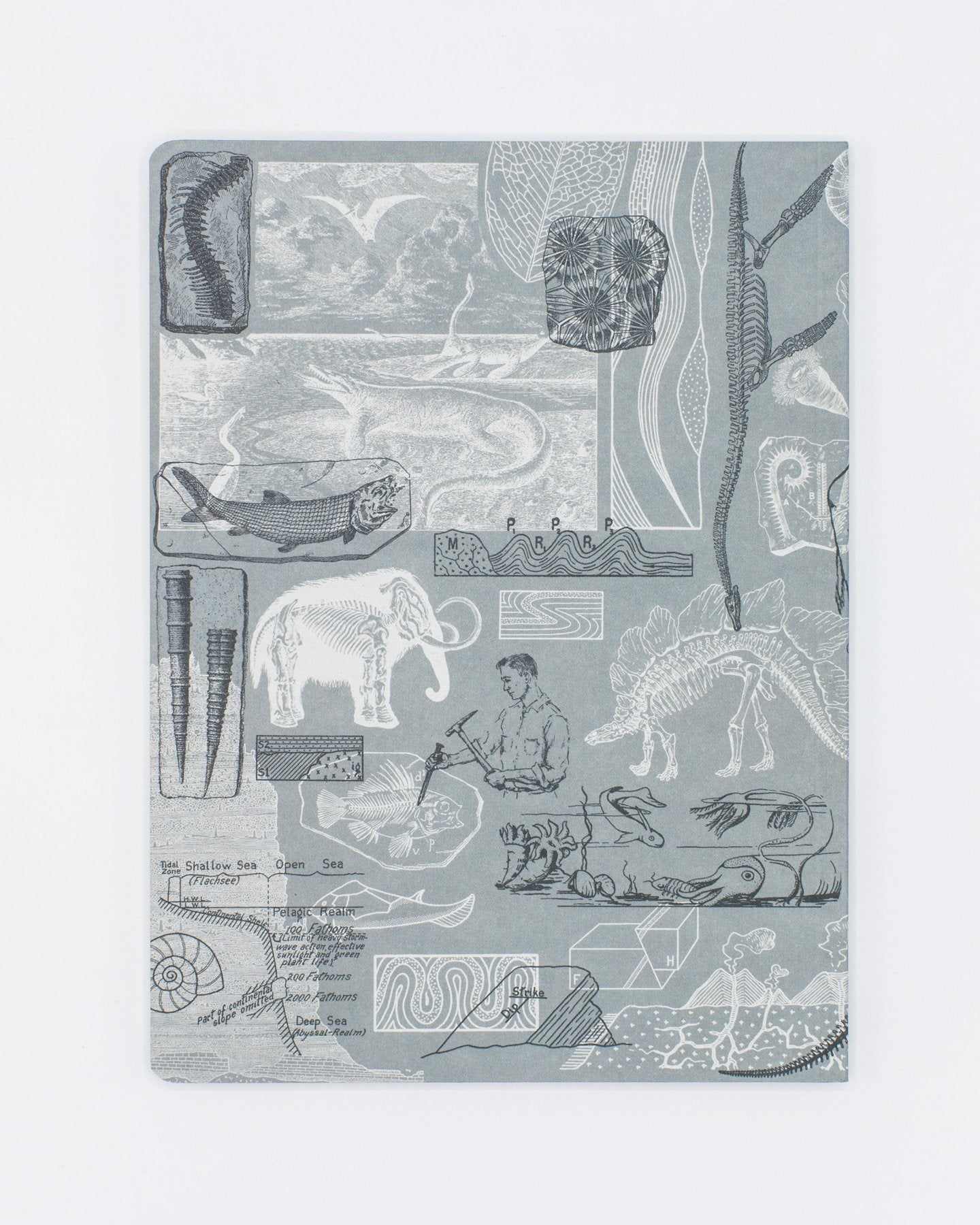 Paleontology Softcover - Dot Grid