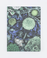 Infectious Diseases Softcover Notebook - Lined