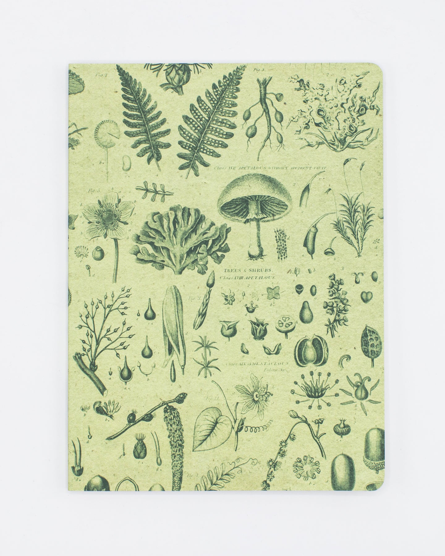 Plants & Fungi Softcover Notebook - Dot Grid