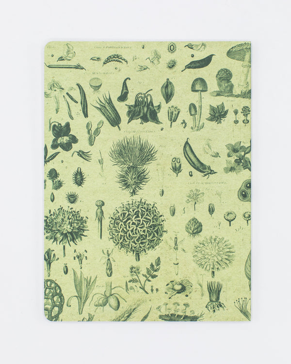 Plants & Fungi Softcover Notebook - Dot Grid