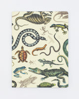 Herpetology: Reptiles & Amphibians Softcover - Dot Grid