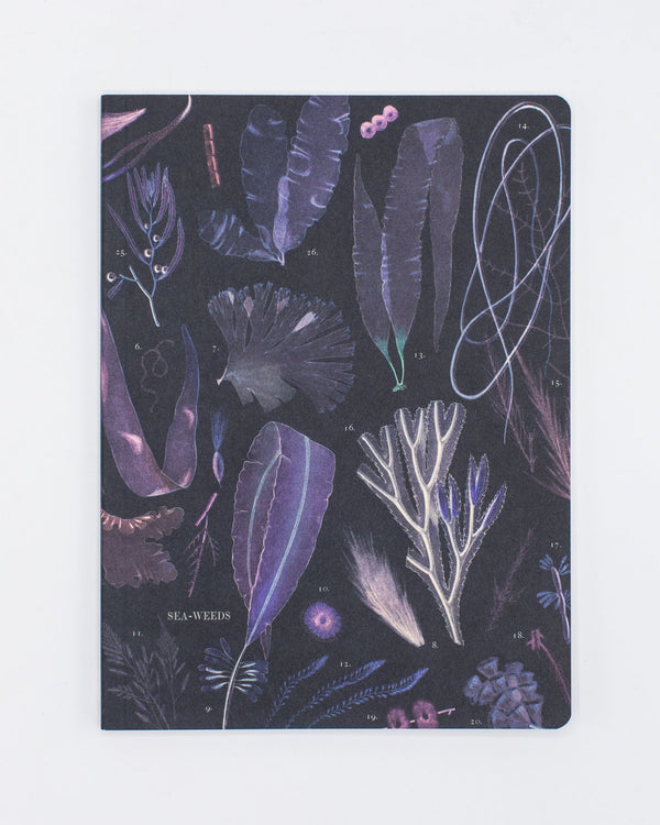 Seaweed Softcover - Lined