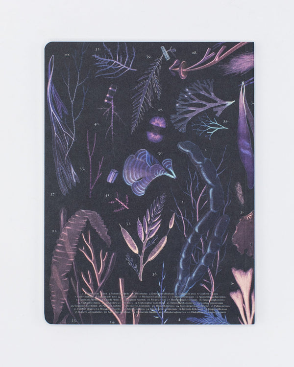 Seaweed Softcover - Lined