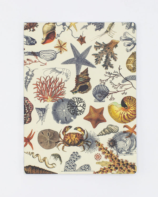 Shallow Seas Plate 2 Softcover- Lined