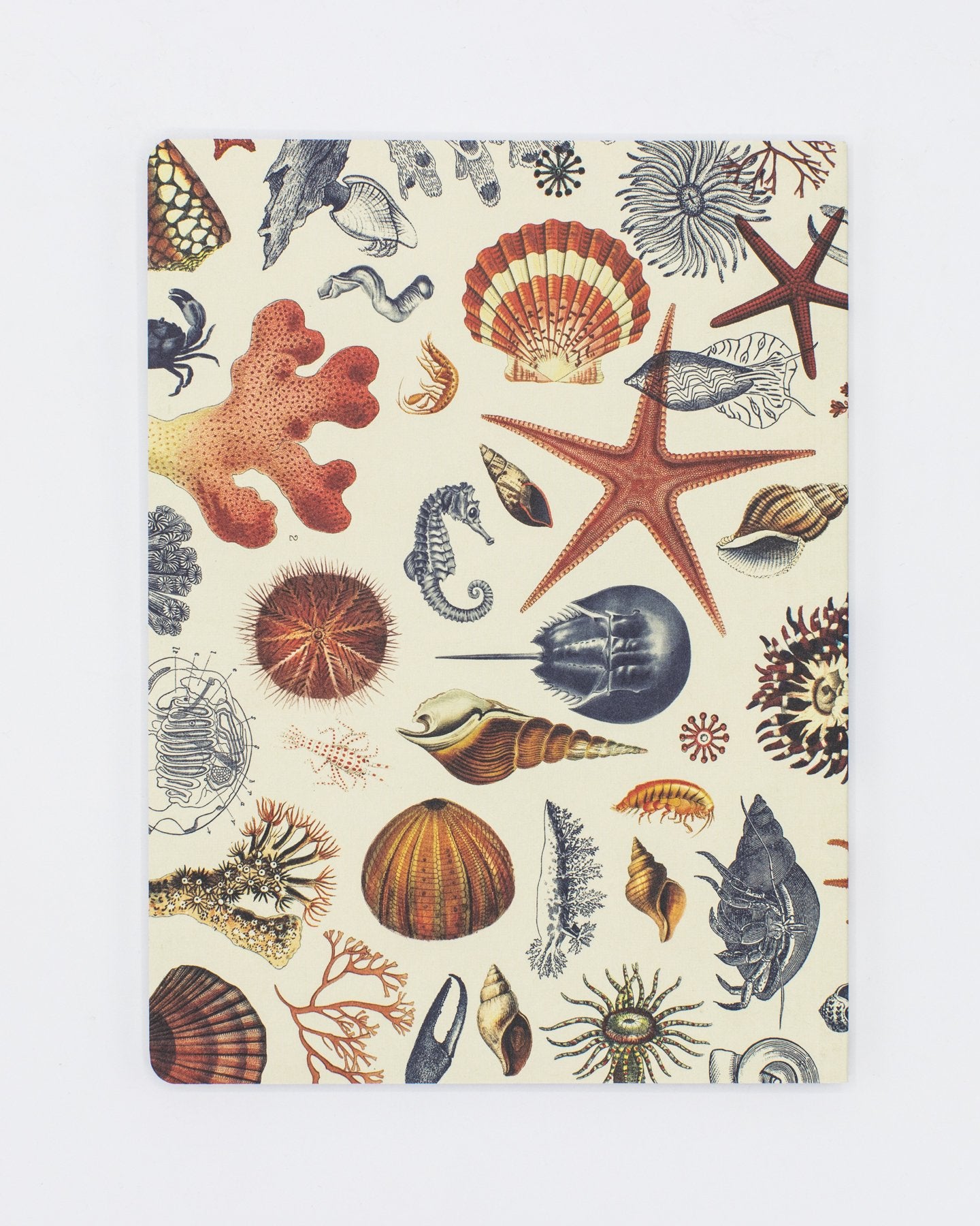 Shallow Seas Plate 2 Softcover- Lined