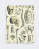 Skeleton Plate 2 Softcover - Lined