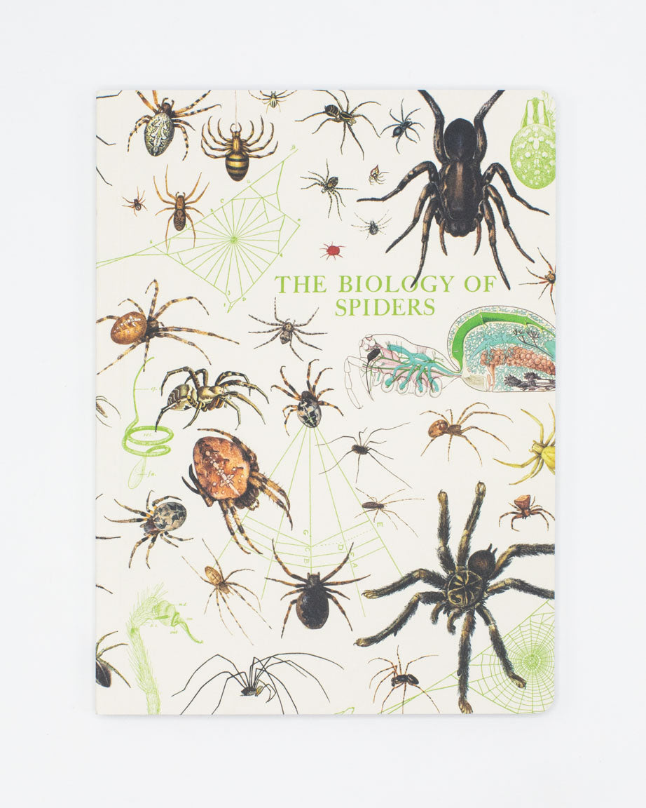 Spiders Softcover Notebook - Lined