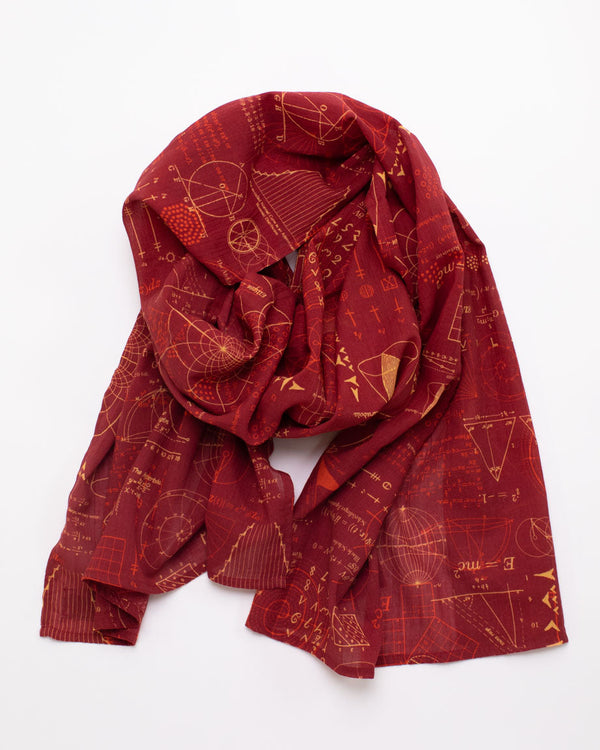 Equations That Changed the World Scarf