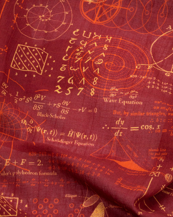 Equations That Changed the World Scarf