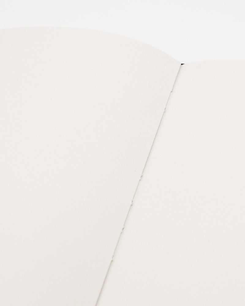 Succulents Hardcover - Blank