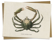 Spider Crab Specimen Card