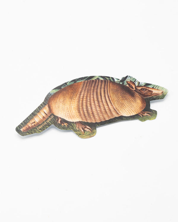 Armadillo Sticker