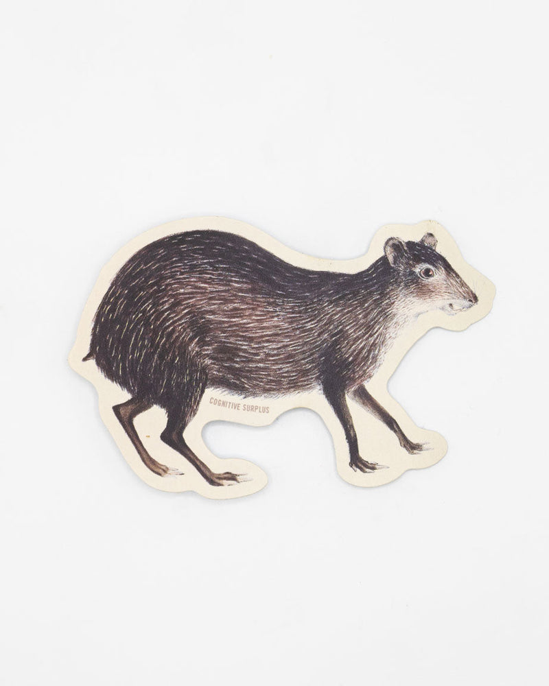 Agouti Sticker