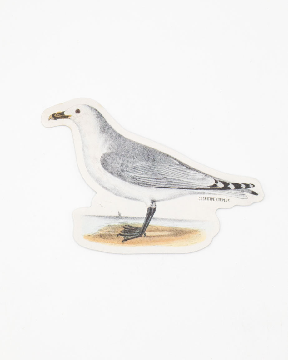 American Gull Sticker