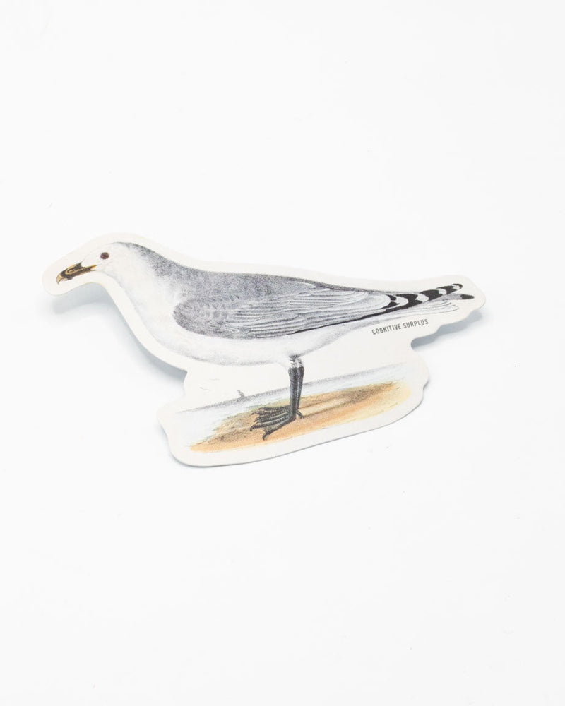 American Gull Sticker