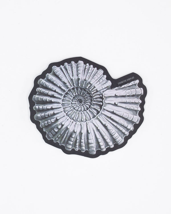 Ammonite Fossil Sticker