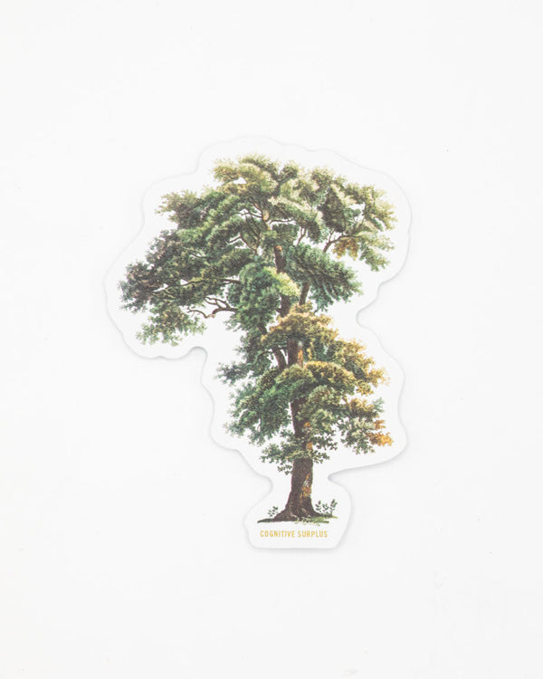 Tall Tree Sticker