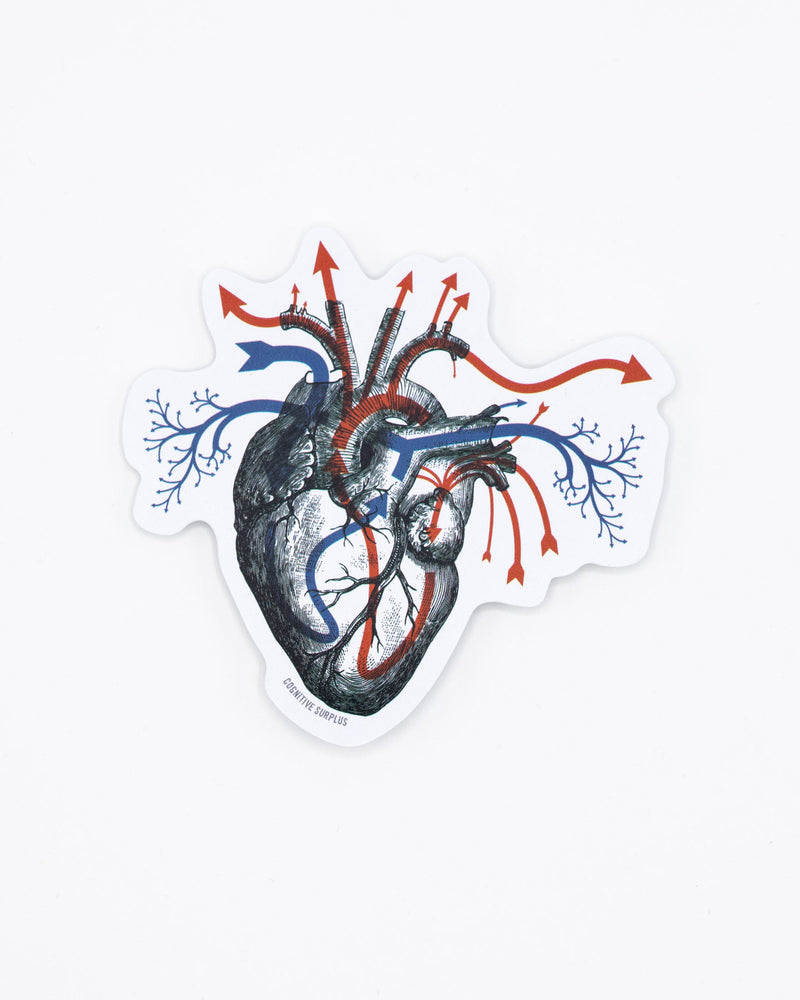 Heart Blood Flow Sticker