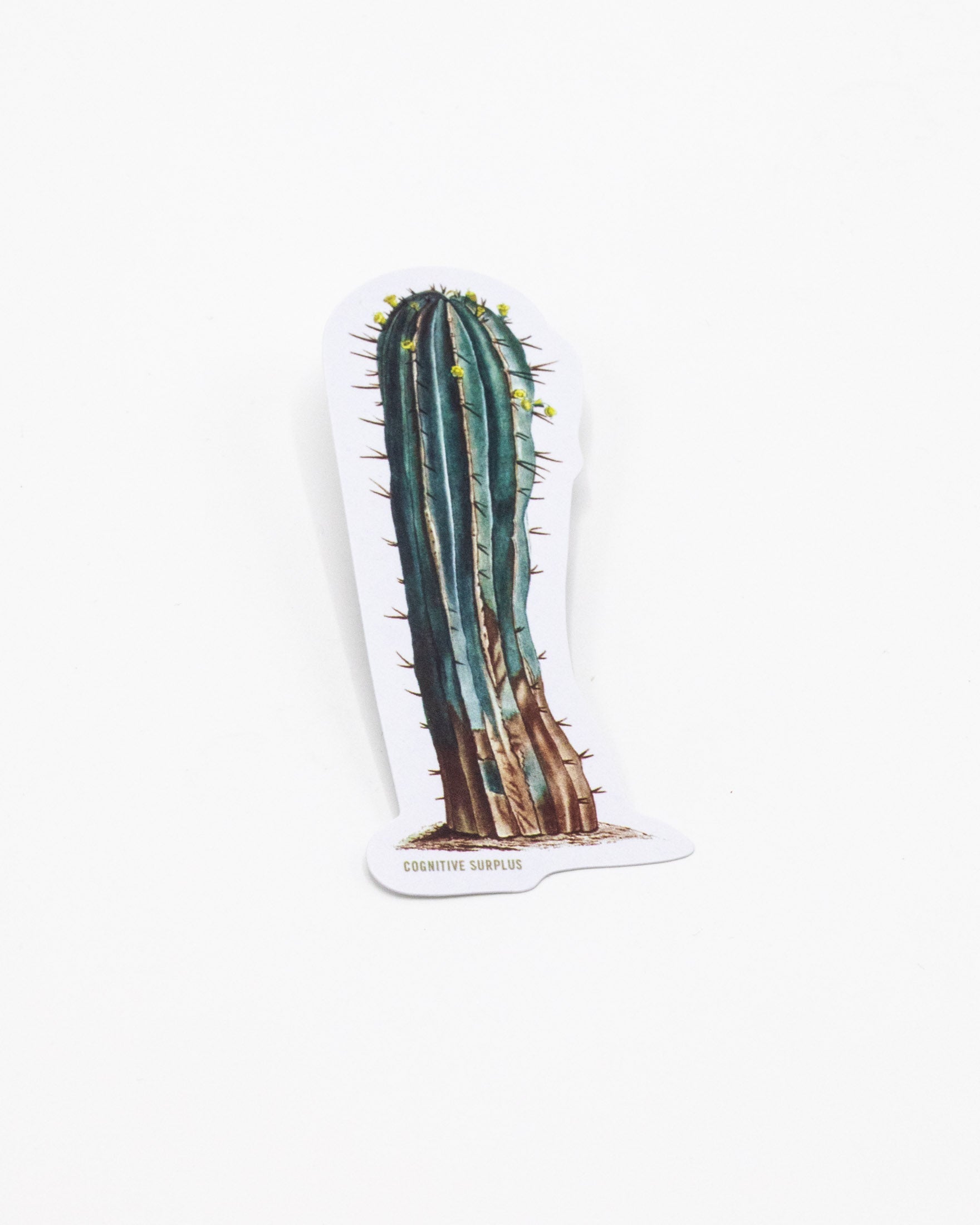 Cactus Sticker