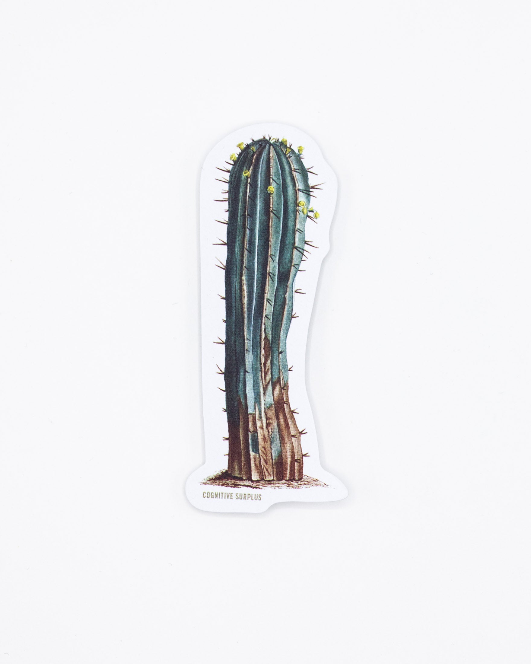 Cactus Sticker