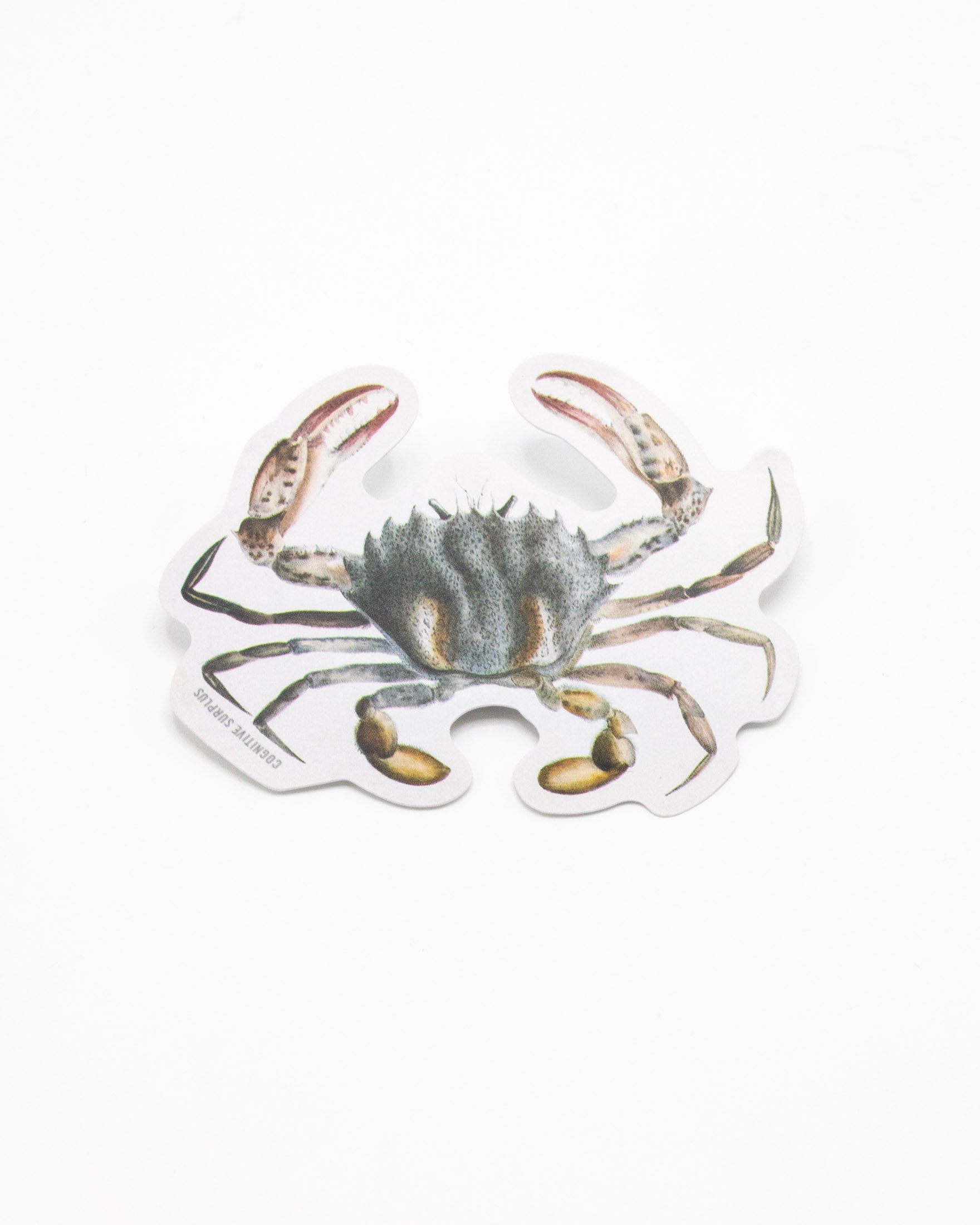 Lady Crab Sticker