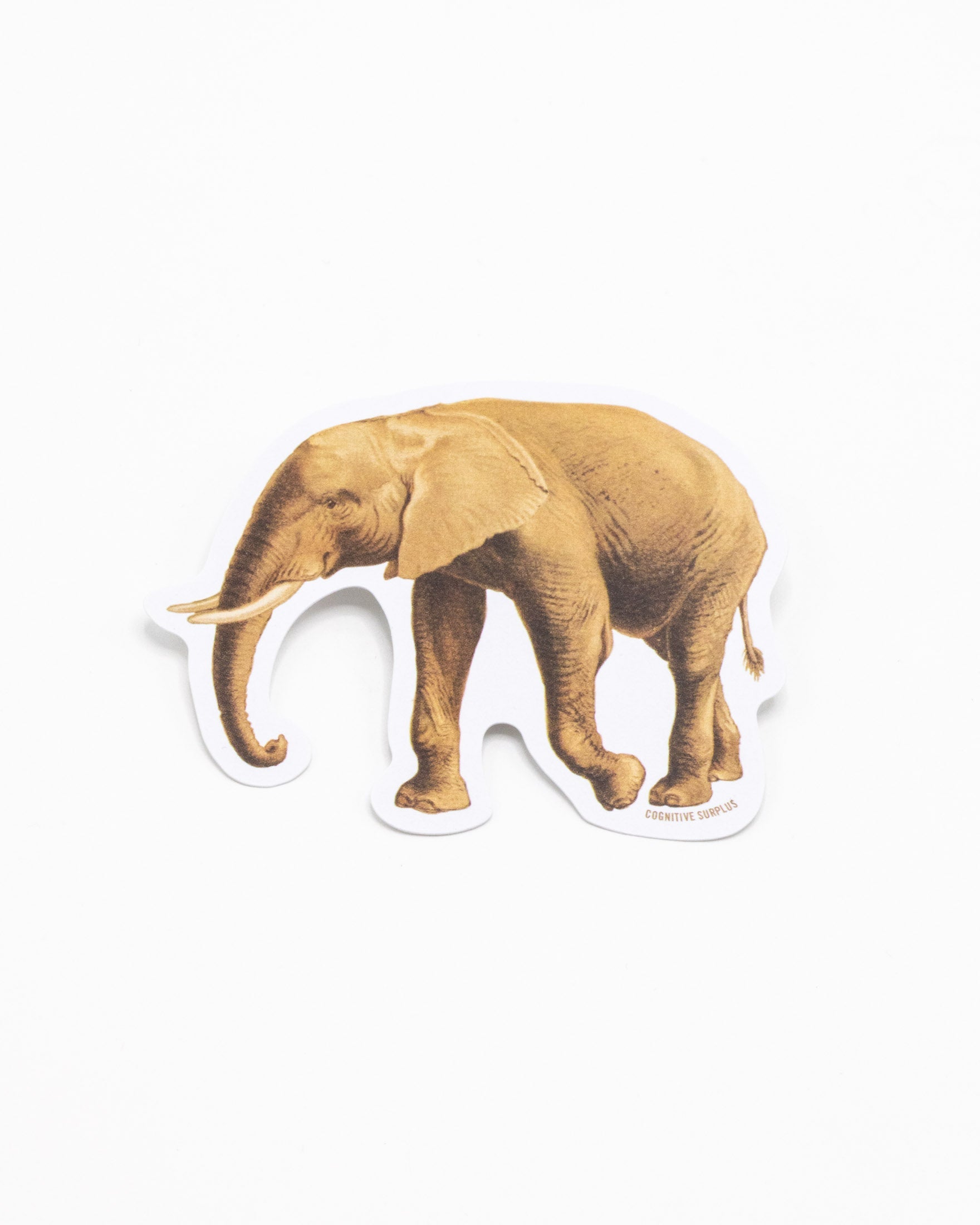 StElephant_0_d6c0242a-9783-44cb-8126-32315cbe8195.jpg