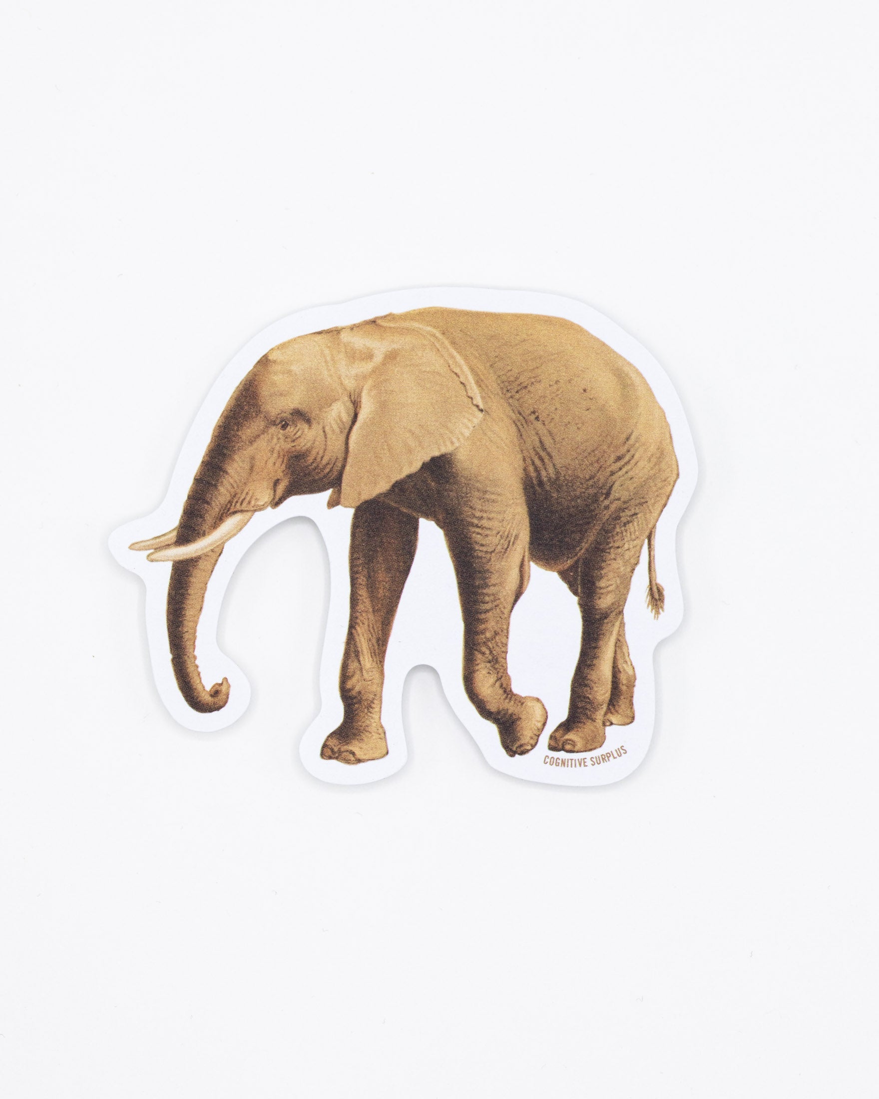 Elephant Sticker