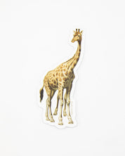 Giraffe Sticker